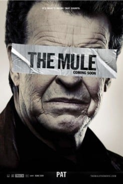 دانلود فیلم The Mule 2014