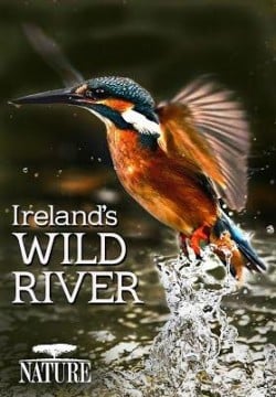 دانلود فیلم Irelands Wild River 2014