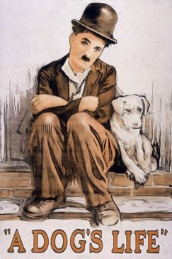 دانلود فیلم A Dogs Life 1918