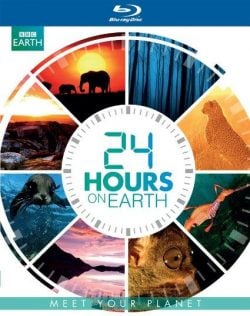دانلود فیلم 24 Hours on Earth 2015