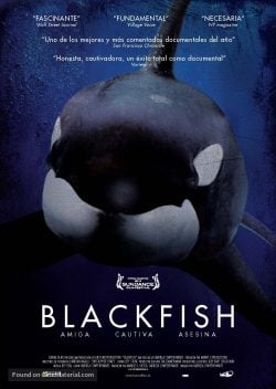دانلود فیلم Blackfish 2013