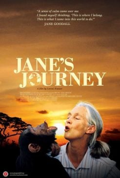 دانلود فیلم Janes Journey 2010