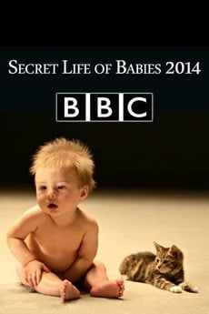 دانلود مستند Secret Life of Babies 2014