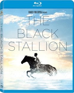 دانلود فیلم The Black Stallion 1979