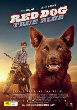 دانلود فیلم Red Dog True Blue 2016