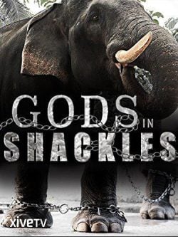 دانلود فیلم Gods in Shackles 2016