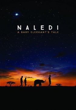 دانلود فیلم Naledi A Baby Elephants Tale 2016