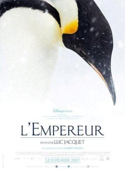 دانلود فیلم March of the Penguins 2 2017