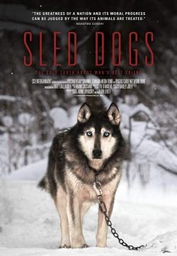 دانلود فیلم Sled Dogs 2016