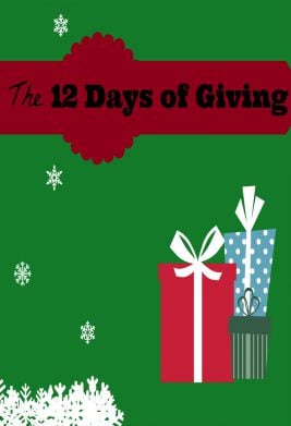 دانلود فیلم 12Days of Giving 2017
