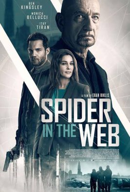 دانلود فیلم Spider in the Web 2019