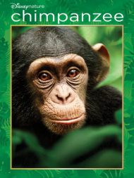 دانلود مستند Chimpanzee 2012