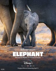 دانلود مستند Elephant 2020
