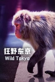 دانلود مستند Wild Tokyo 2020