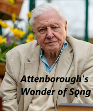 دانلود مستند Attenboroughs Wonder of Song 2022