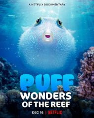 دانلود مستند Puff Wonders of the Reef 2021
