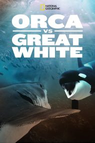 دانلود مستند Orca vs Great White 2021