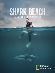 دانلود مستند Shark Beach with Chris Hemsworth 2021